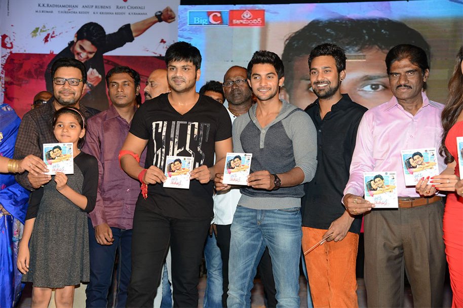 Pyaar-Mein-Padipoyane-Audio-Launch